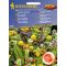 Duftblumenmischung 50 Samen Kiepenkerl