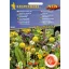 Duftblumenmischung 50 Samen Kiepenkerl