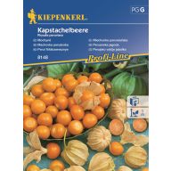 Peruanische Erdbeeren 30 Samen Kiepenkerl
