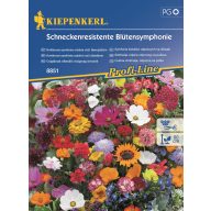 Schneckenresistente Blumensymphonie für 2 m2 Kiepenkerl