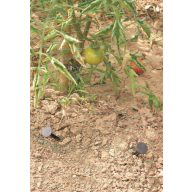   Spike zur Befestigung von Geotextil 12,5 cm " Nort Spike" 20 Stück