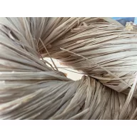 Bindemittel Raffia natur 500g