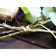 Bindemittel Raffia natur 500g
