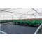 Agro-Gewebe schwarz 100g/m2 2,1x25 m