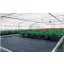 Agro-Gewebe schwarz 100g/m2 2,1x25 m