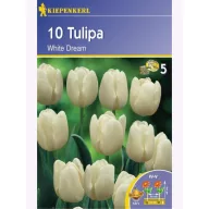 Tulpenzwiebeln Triumf, Kiepenkerl White Dream 10 Stück