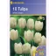 Tulpenzwiebeln Triumf, Kiepenkerl White Dream 10 Stück