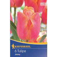 Blumenzwiebel Tulip Triumf Jimmy, 6 Stück Kiepenkerl