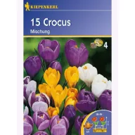 Kokosnusszwiebel große Blüte, Kiepenkerl Mix 15 Stück