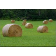 Grassamen Mäher Grönland Mischung 25 kg