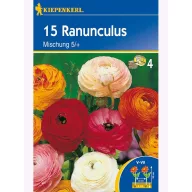 Butterblumenzwiebel-Farbmix, Kiepenkerl 10 Stück