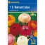 Butterblumenzwiebel-Farbmix, Kiepenkerl 10 Stück