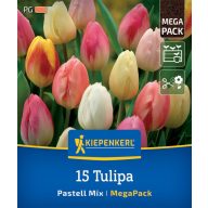 Virághagyma Tulipán Pastell Mix Megapack Kiepenkerl 15 db