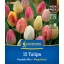 Virághagyma Tulipán Pastell Mix Megapack Kiepenkerl 15 db