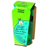 Fliegenfalle Natürliche Kontrolle