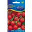 Tomate Lugas F1 20 Samen