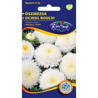 Pfingstrose Princess weiß 1 g