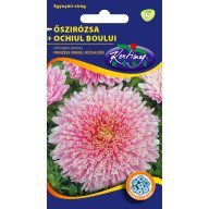 Pfingstrose Prinzessin rosa 1 g