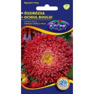 Pfingstrose Prinzessin rot 1 g