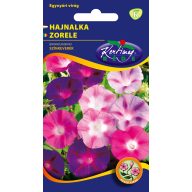 Hajnalka Kardinal-Farbmischung 2 g