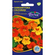 Sporenarme Farbmischung 3 g