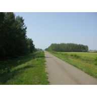 Grassamen-Füllmischung Agro-Largo 25 kg