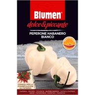   Weißer Habanero Pfeffer Blumen - extrem scharfe Blumen (ca. 10-20 Samen)