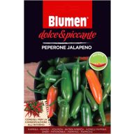 Jalapeno Peperoni - scharfe Blüten (ca. 10-20 Samen)