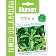 Stevia-Samen Wellness aus der Natur