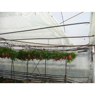 Raschelnetz Double 9,4x50m 50g/m2 weiß (45%)