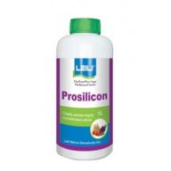 Prosilicon Blattdünger 1 l