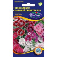 Chinesische Nelke Farbmischung 2g