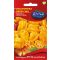 Chilischote Habanero orange 20 Samen
