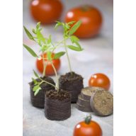 Torfscheiben Jiffy (48 Stück)