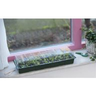 Keimschale für Fenster