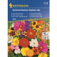 Sommerblumen Gartenmischung Kiepenkerl