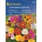 Sommerblumen Gartenmischung Kiepenkerl