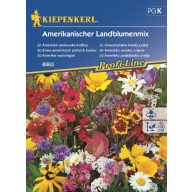 Amerikanische Wildblumenmischung Kiepenkerl für 5 m2