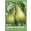 Obst- und Rebsorten