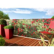   Zaungeflecht mit gemaltem Blumenmuster auf einer Seite Stylia Flower 1x3 m