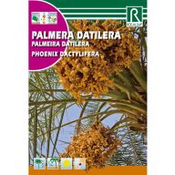 Dattelpalme (Phoenix dactylifera) Rocalba 6 g
