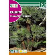 Rosshaarpalme (Chamaerops humilis) Rocalba