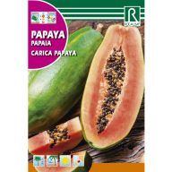 Papaya dinnyefa (Carica papaya) Rocalba