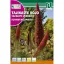 Schlangenlilie (Echium wildprettii) Rocalba 3 Samen