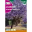 Mimosenblättriger Jacaranda (Jacaranda mimiosifolia) 0,5g Rocalba