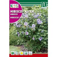 Eibisch (Hibiscus syriacus) Rocalba 2 g