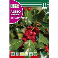 Stockrose (Ilex aquifolium) Rocalba 1 g