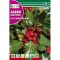 Stockrose (Ilex aquifolium) Rocalba 1 g