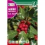 Stockrose (Ilex aquifolium) Rocalba 1 g