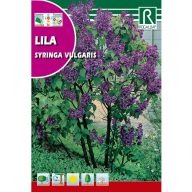 Orgona (Syringa vulgaris) Rocalba 2 g